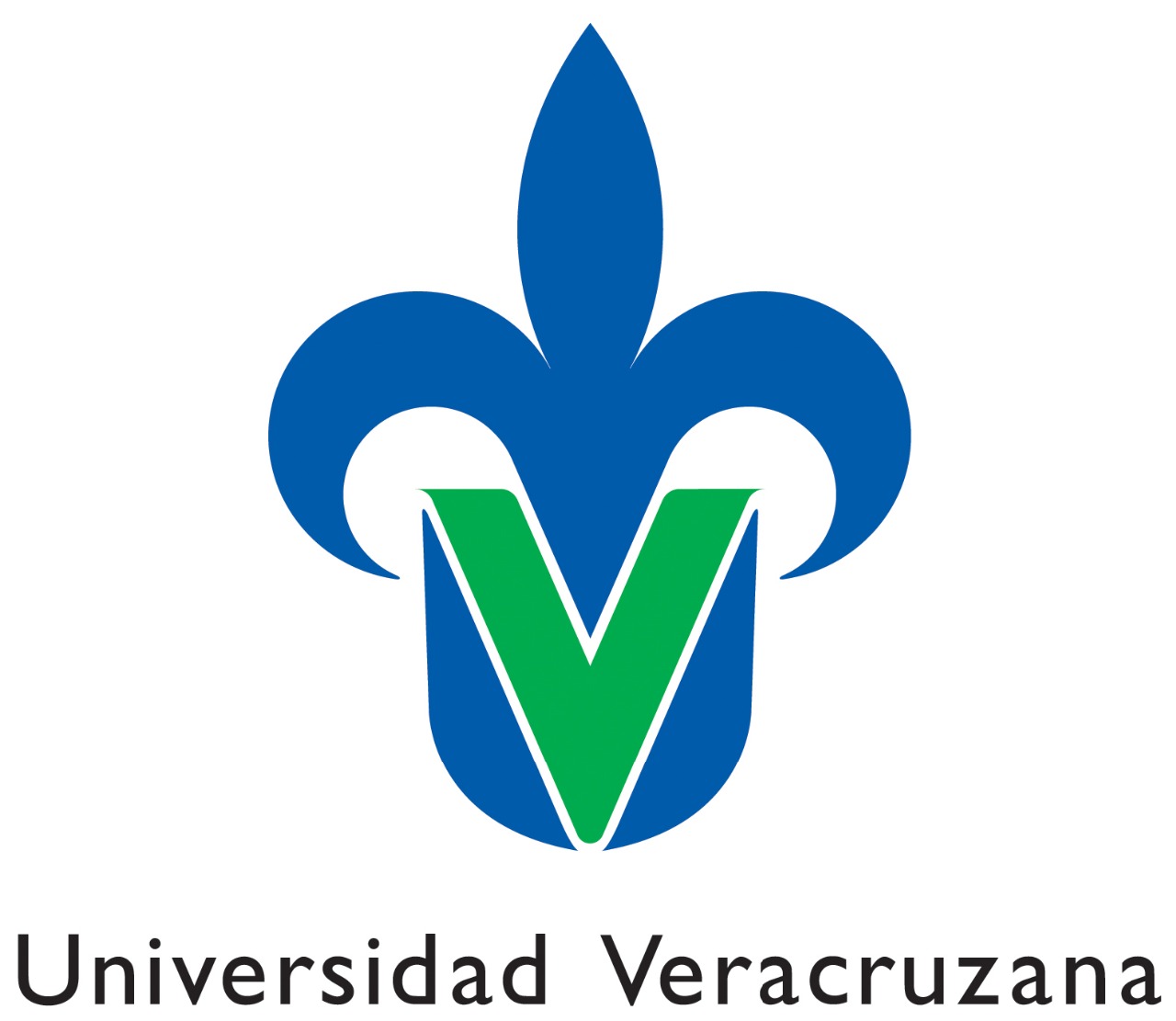 Mecánica de Fluidos